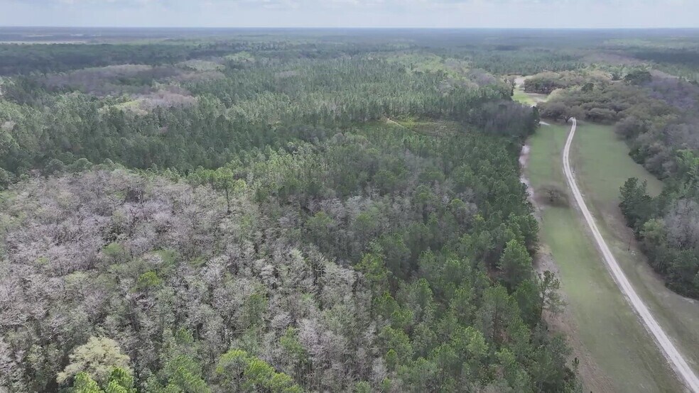 1625 State Route 415, Osteen, FL à vendre - Vidéo sur l’inscription commerciale - Image 2 de 4