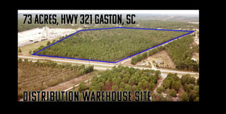 Plus de détails pour 5046 Hwy 321, Gaston, SC - Terrain à vendre