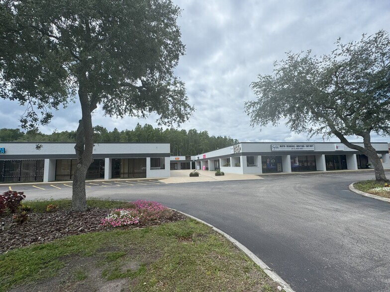 3802 Ehrlich Rd, Tampa, FL à louer - Photo du bâtiment - Image 2 de 8