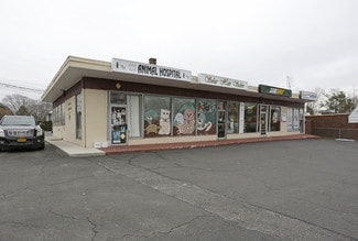 Plus de détails pour 1215 Route 25A, Smithtown, NY - Commerce de détail à vendre