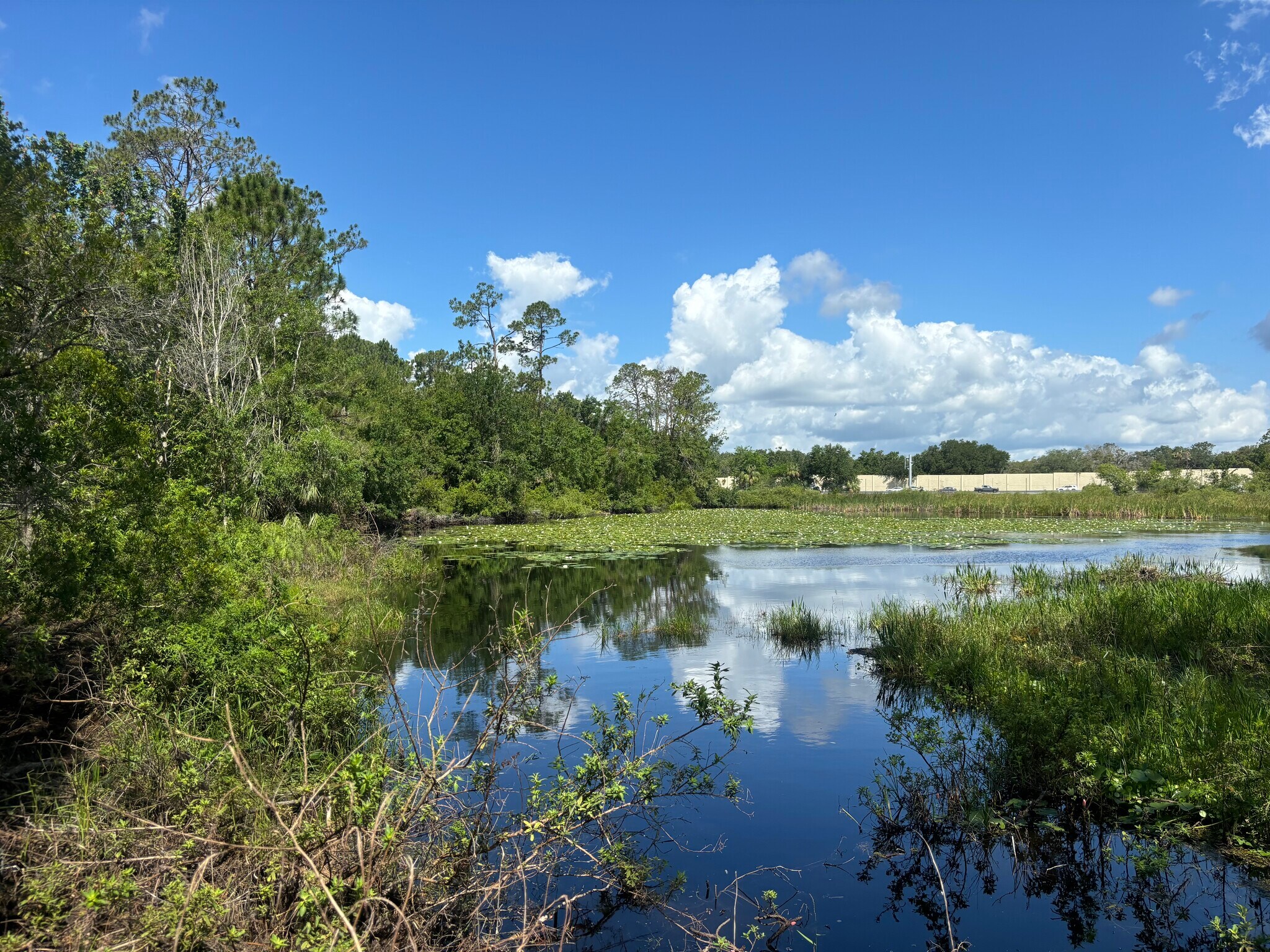 28651 Tupper Rd, Wesley Chapel, FL à vendre Photo du bâtiment- Image 1 de 7