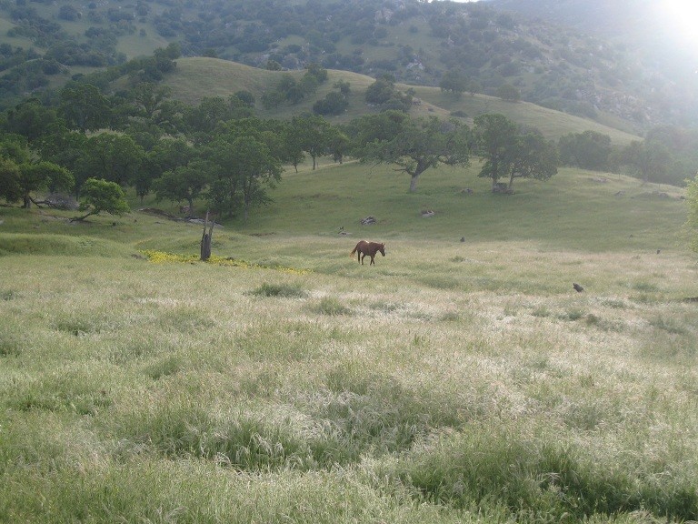 37096 Yokohl Dr, Exeter, CA for sale - Other - Image 2 of 12