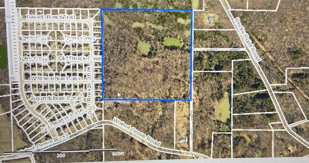 0 Walnut Grove, Cordova, TN à vendre - Aérien - Image 2 de 2