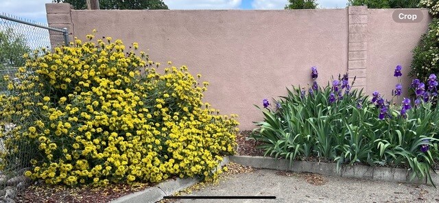 4713 Yosemite Blvd, Modesto, CA à vendre - Photo du bâtiment - Image 2 de 23