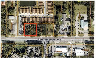 Plus de détails pour 1240 Bloomingdale Ave, Valrico, FL - Terrain à vendre