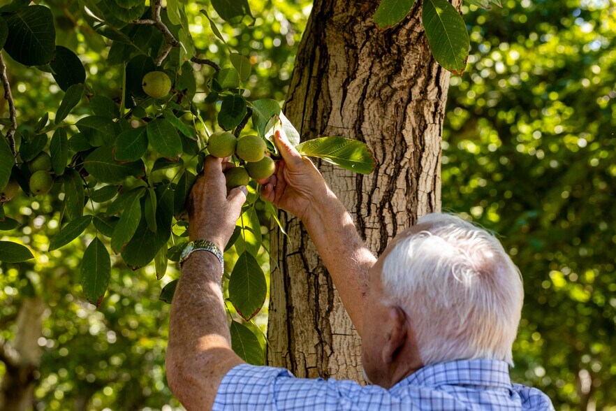 1582 CA-45, Grimes, CA à vendre - Photo du bâtiment - Image 3 de 34
