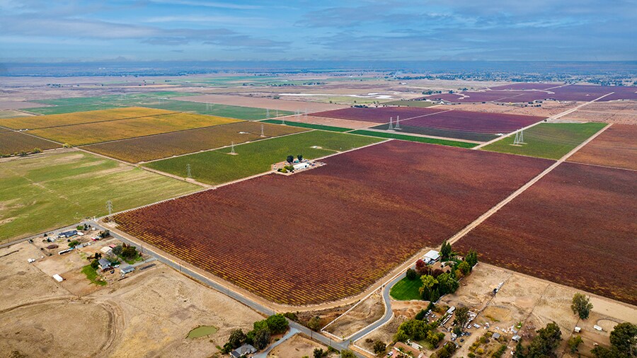 Colony Ranch Vineyard, Wilton, CA à vendre - Photo du bâtiment - Image 2 de 11