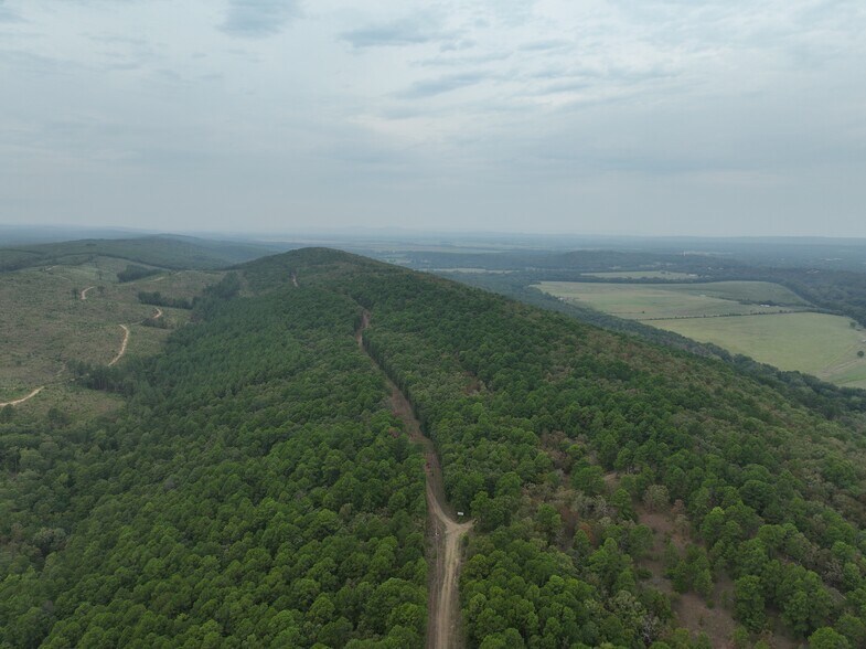 000 Pallisades Drive, Bigelow, AR à vendre - Photo du bâtiment - Image 2 de 6