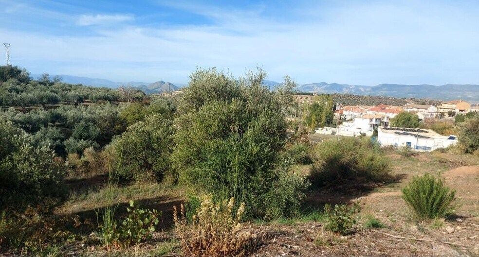 Land in Nívar, Granada for sale - Building Photo - Image 3 of 16