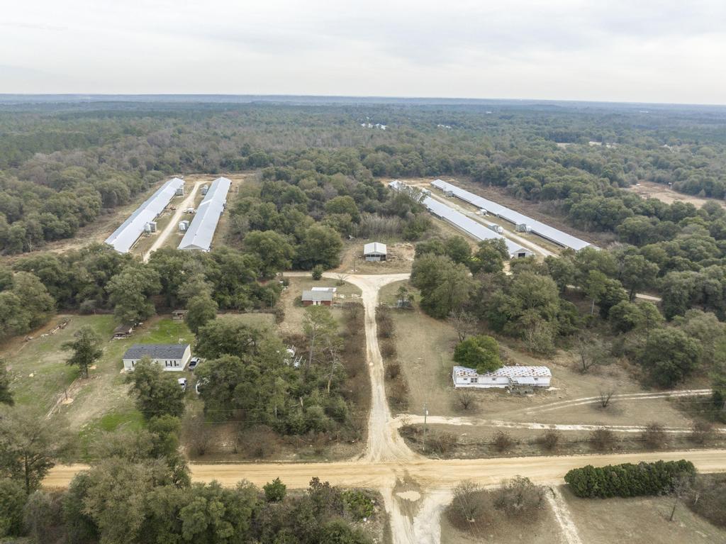 223 Loblolly Rd, Oglethorpe, GA for sale Primary Photo- Image 1 of 1