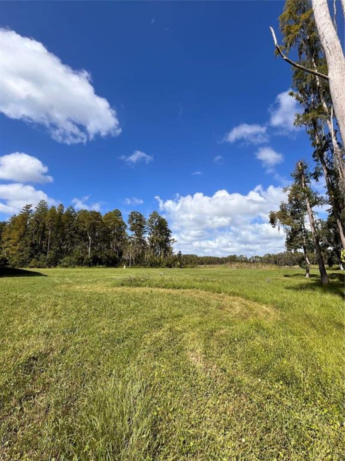 1029 Van Dyke Rd, Lutz, FL for sale Primary Photo- Image 1 of 18