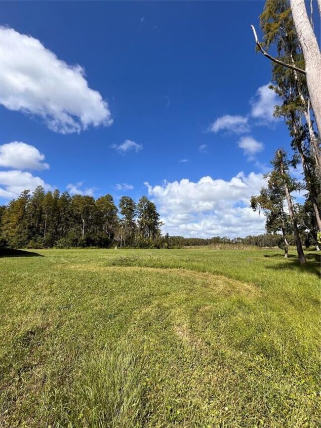 Plus de détails pour 1029 Van Dyke Rd, Lutz, FL - Spécialité à vendre