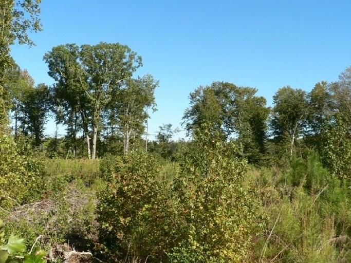16215 Eltham Rd, Lanexa, VA à vendre - Photo du bâtiment - Image 2 de 4