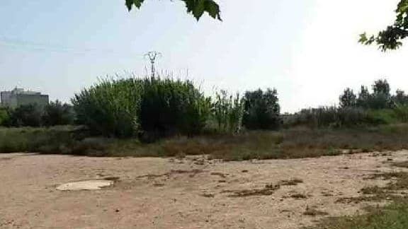 Land in Sueca, Valencia for sale Primary Photo- Image 1 of 7