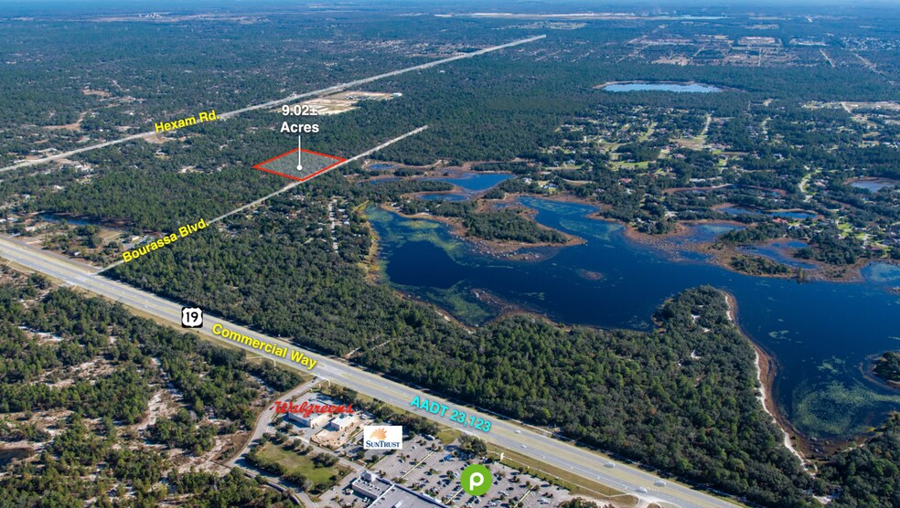 11011 Bourassa Blvd, Brooksville, FL à vendre - Aérien - Image 2 de 25