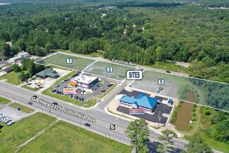 Plus de détails pour 251 S GA 21 Hwy, Rincon, GA - Terrain à vendre