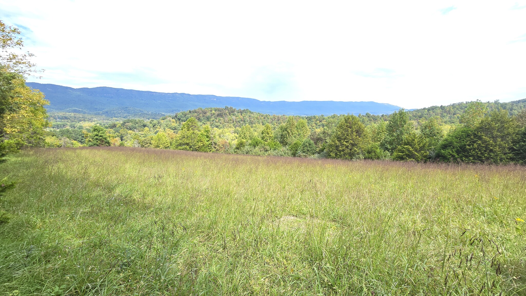 715 Wheeler Rd, Ewing, VA for sale Primary Photo- Image 1 of 34