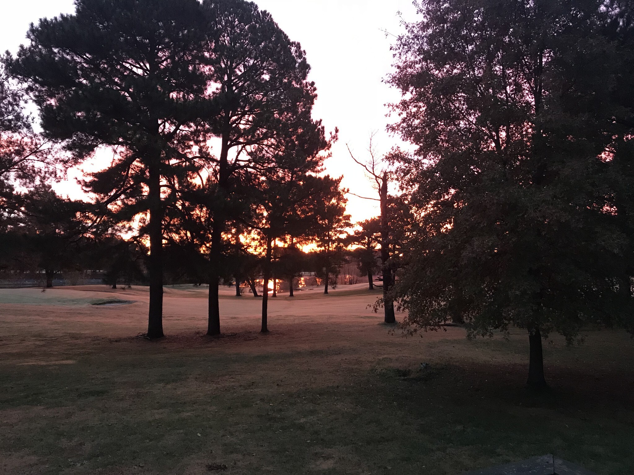 6204 State Rte 154, Tamaroa, IL à vendre Photo du bâtiment- Image 1 de 17