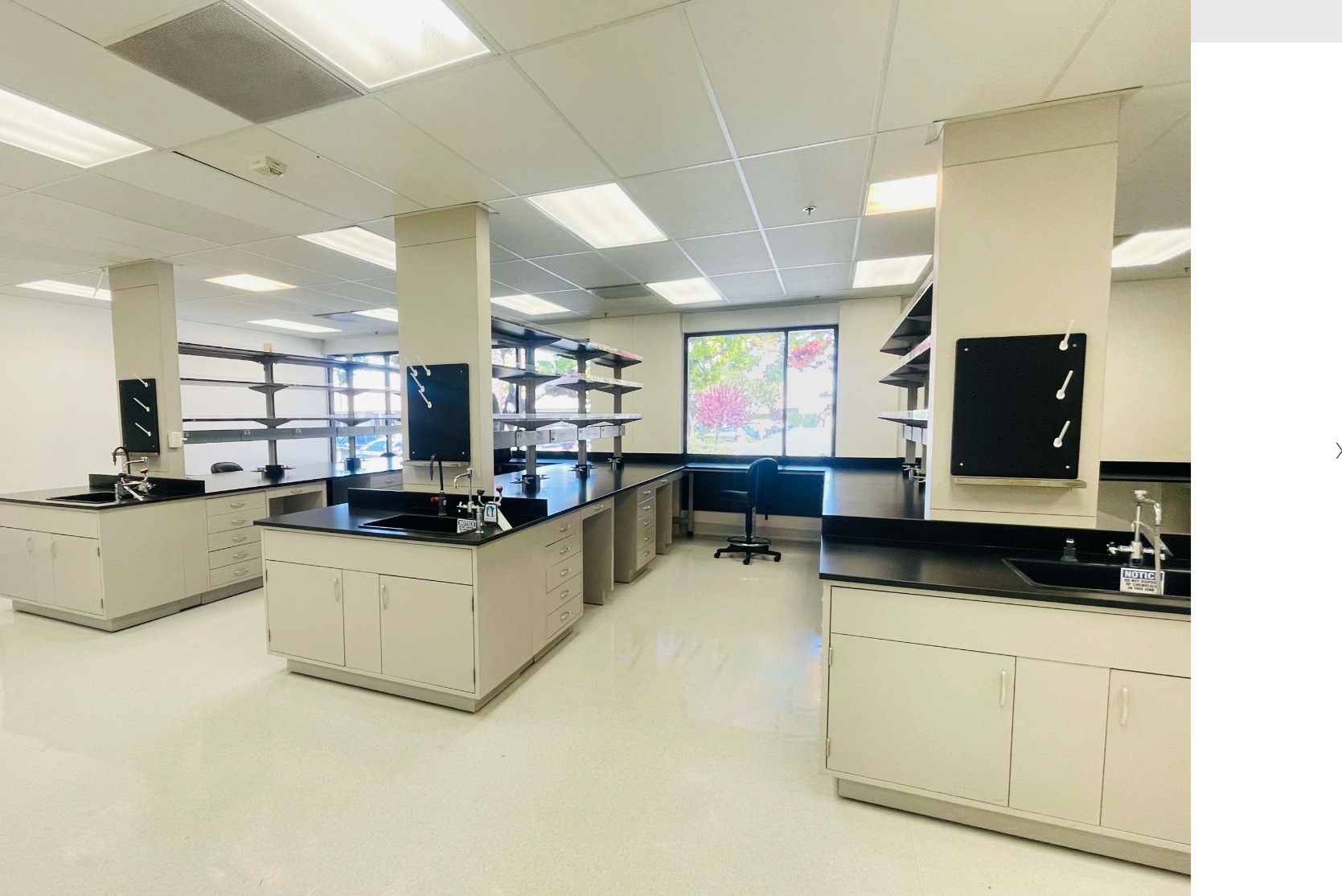 319 N Bernardo Ave, Mountain View, CA à louer Photo principale- Image 1 de 31