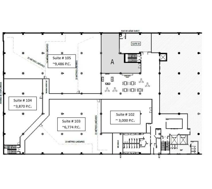 225 Rue de Liège O, Montréal, QC à louer Plan d’étage- Image 1 de 1