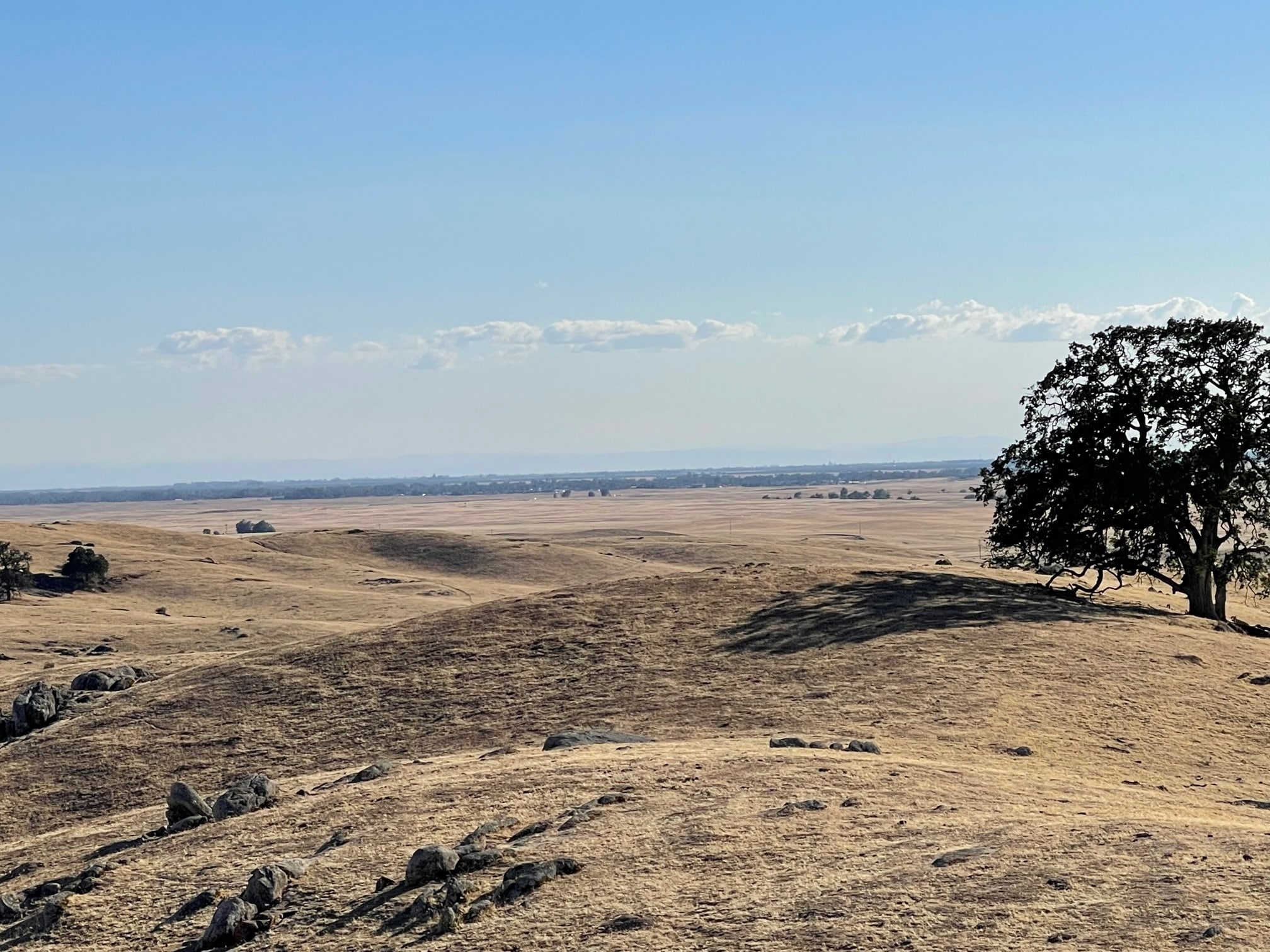 Hwy 41, O Neals, CA for sale Primary Photo- Image 1 of 12