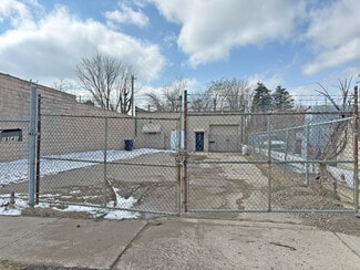 Plus de détails pour 19141 Mount Elliott St, Detroit, MI - Industriel à vendre