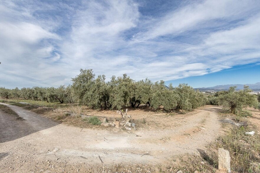 Pago de, Albolote, Granada à vendre - Photo principale - Image 1 de 14