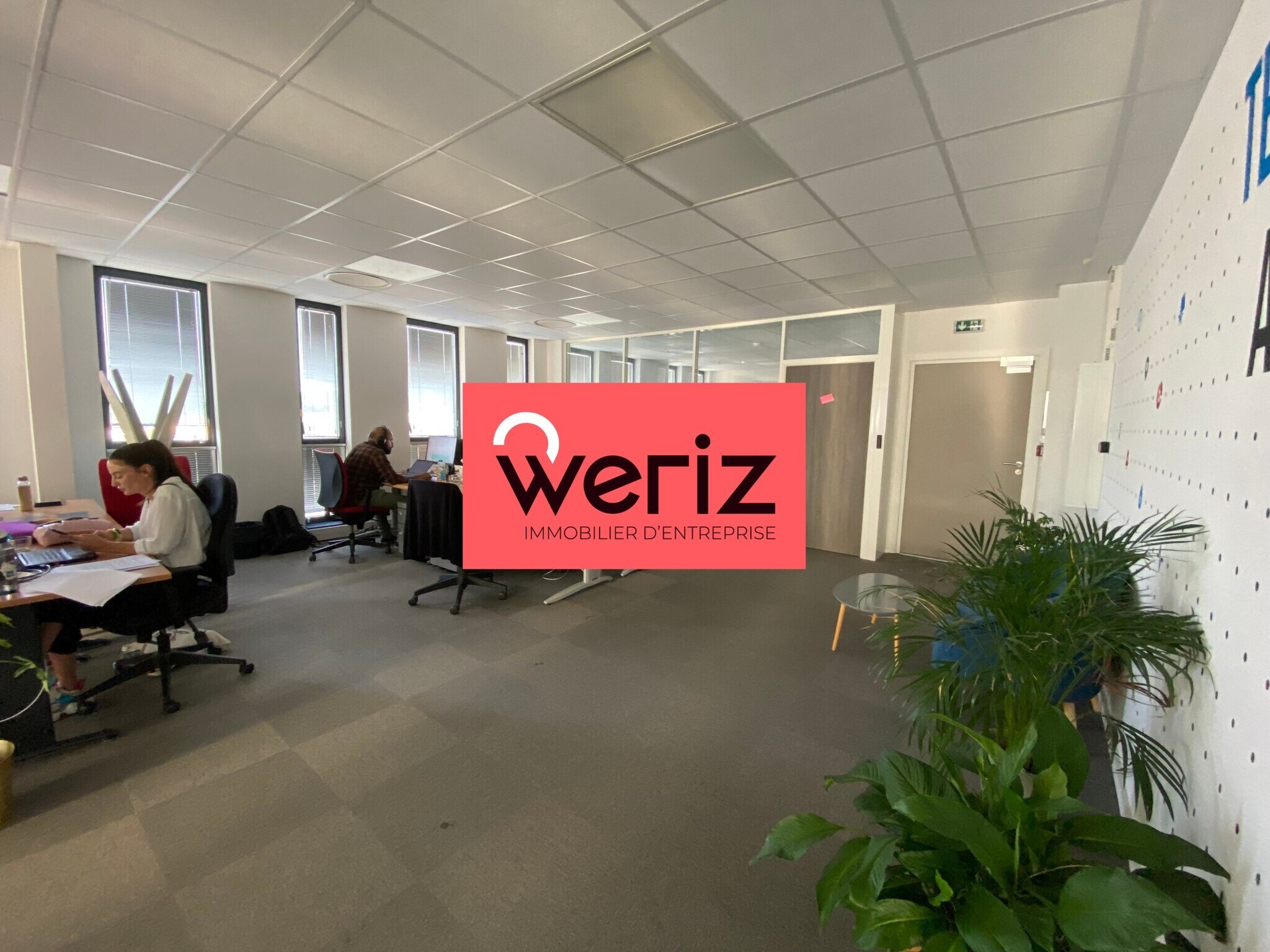 16 Rue Louis Leprince Ringuet, Marseille à louer Photo du bâtiment- Image 1 de 12