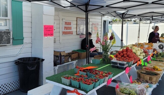 More details for 3351 Bahia Vista St, Sarasota, FL - Retail for Sale