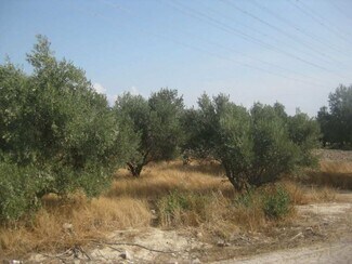 Plus de détails pour el Palmar Sector Zgss, 31-3, Murcia - Terrain à vendre