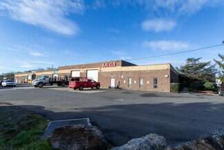 Plus de détails pour 13451 Damar Dr, Philadelphia, PA - Industriel à louer