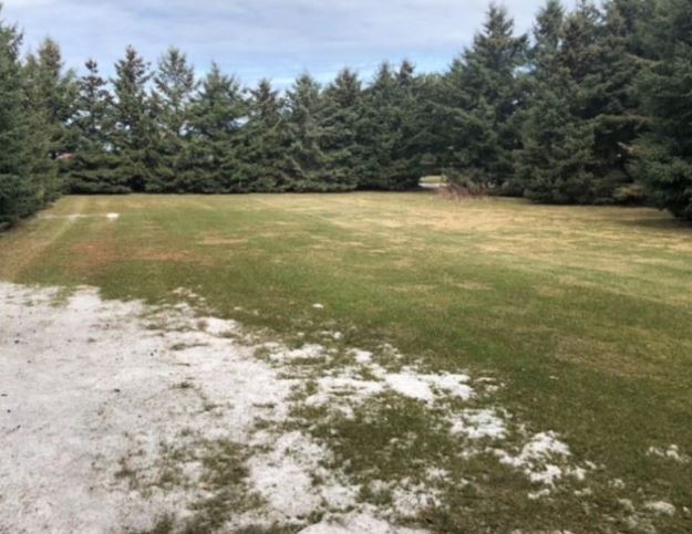 1445 Hedge Dr, Ottawa, ON for sale Primary Photo- Image 1 of 1