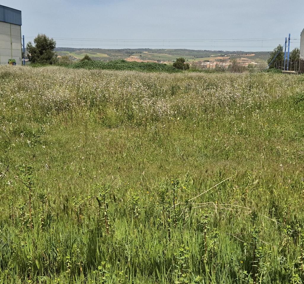 Terrain dans Toledo, Toledo à vendre Photo principale- Image 1 de 2