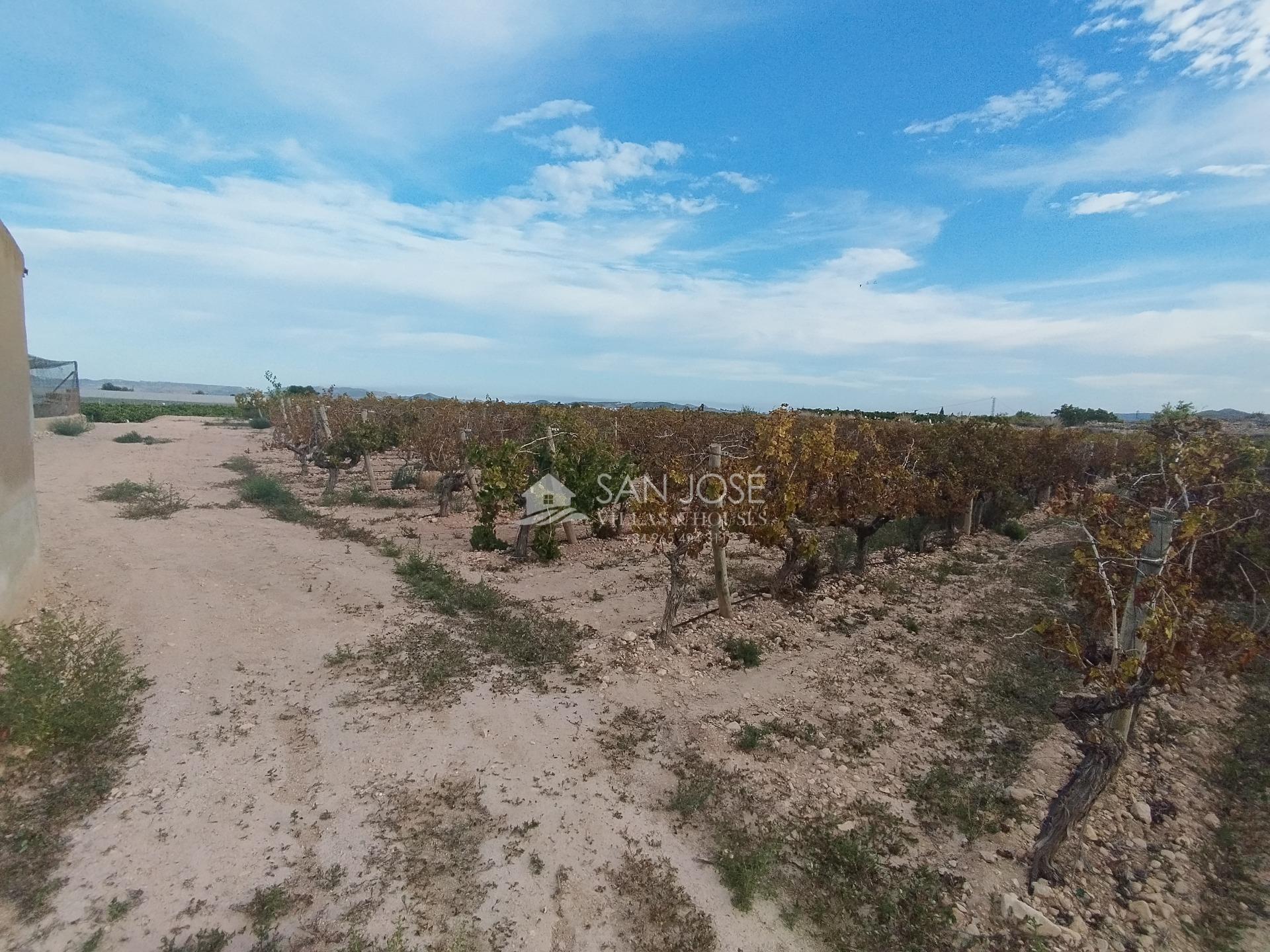 Pol, 28, Novelda, Alicante for sale Aerial- Image 1 of 6