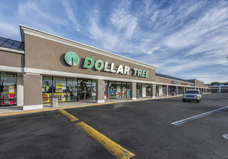 Plus de détails pour 4740-4780 US Highway 19, New Port Richey, FL - Bureau/Médical, Vente au détail à louer