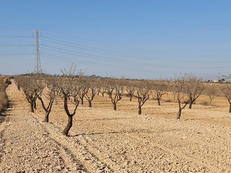 Terrain dans Jumilla, Murcia à vendre - Photo principale - Image 1 de 9