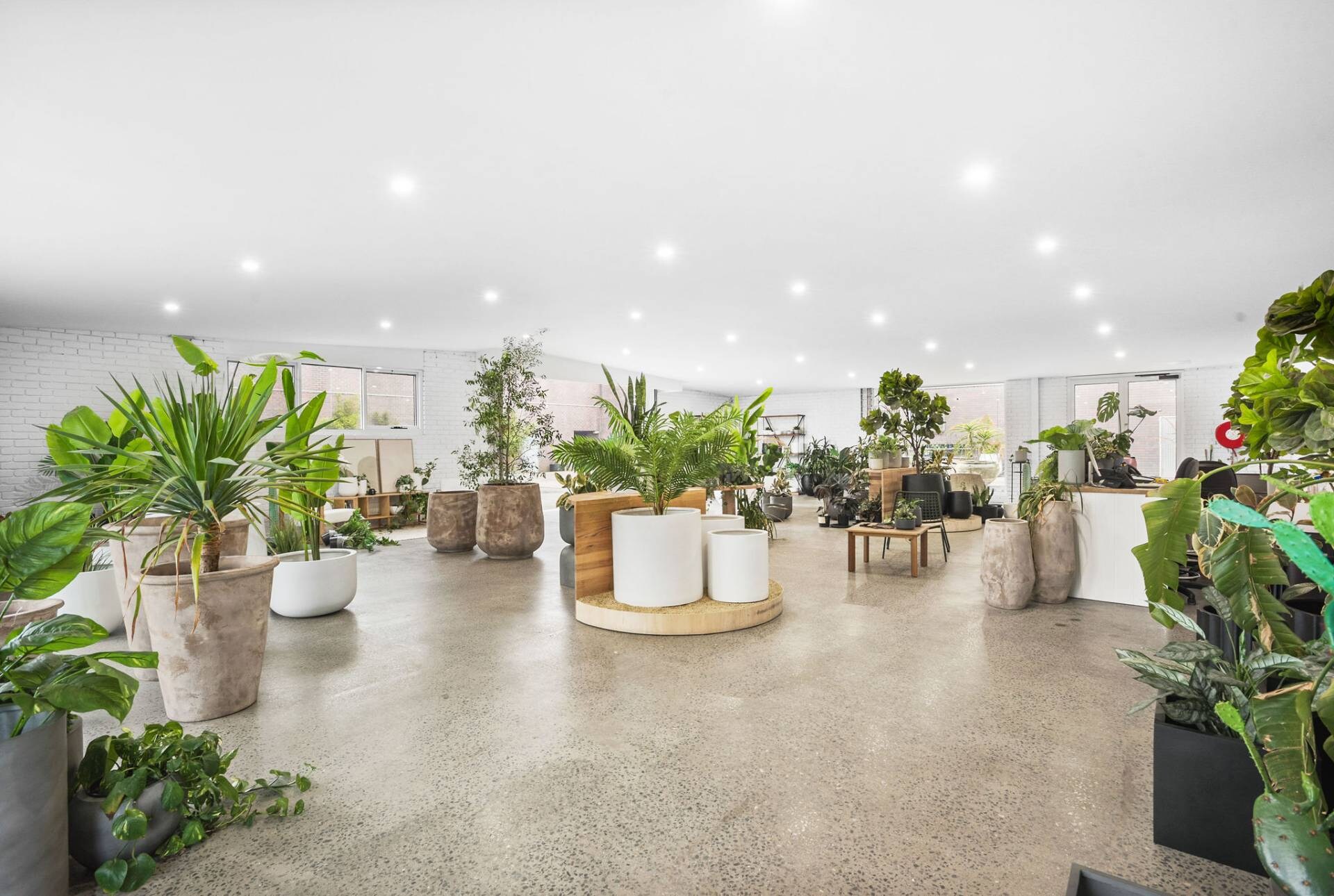 13-15 Mills St, Cheltenham for lease Interior Photo- Image 1 of 6