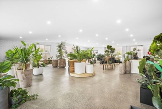 13-15 Mills St, Cheltenham for lease Interior Photo- Image 1 of 6