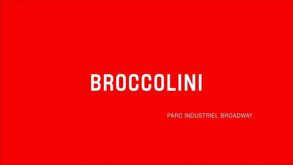 Av Broadway Nord, Montréal-Est, QC for lease - Commercial Listing Video - Image 2 of 6