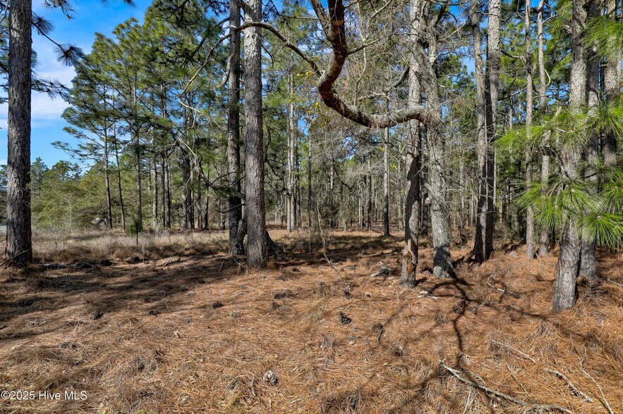 Sand Ridge Rd, Hubert, NC à vendre - Photo du bâtiment - Image 2 de 16