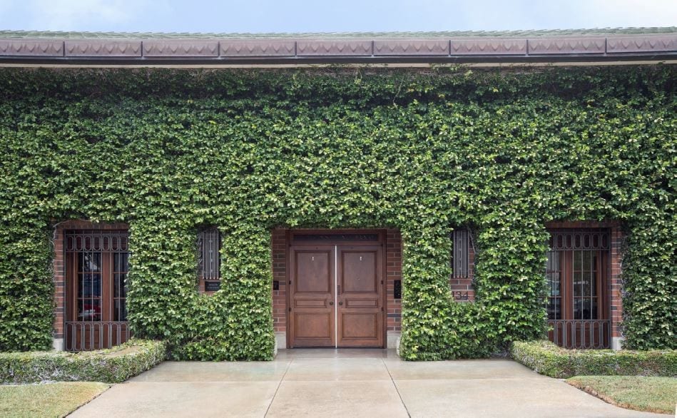 1134 Kline St, La Jolla, CA à louer Photo principale- Image 1 de 12