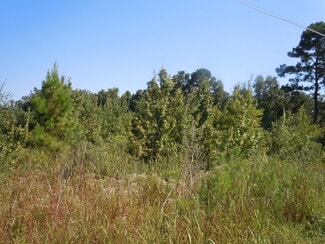 Plus de détails pour Near 10700 Andrew Jackson Highway, Fair Bluff, NC - Terrain à vendre