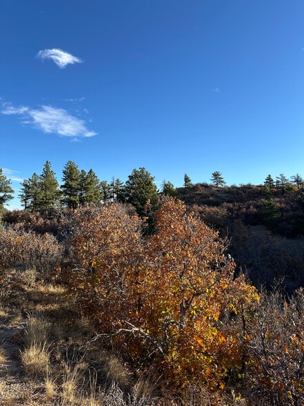 4040 Bell Mountain Dr, Castle Rock, CO for sale - Primary Photo - Image 1 of 9