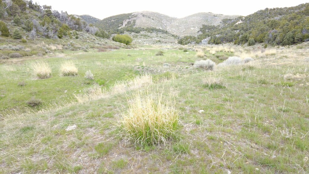 Clear Springs Rd., Park Valley, UT à vendre - Photo principale - Image 1 de 5