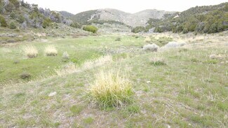 Plus de détails pour Clear Springs Rd., Park Valley, UT - Terrain à vendre