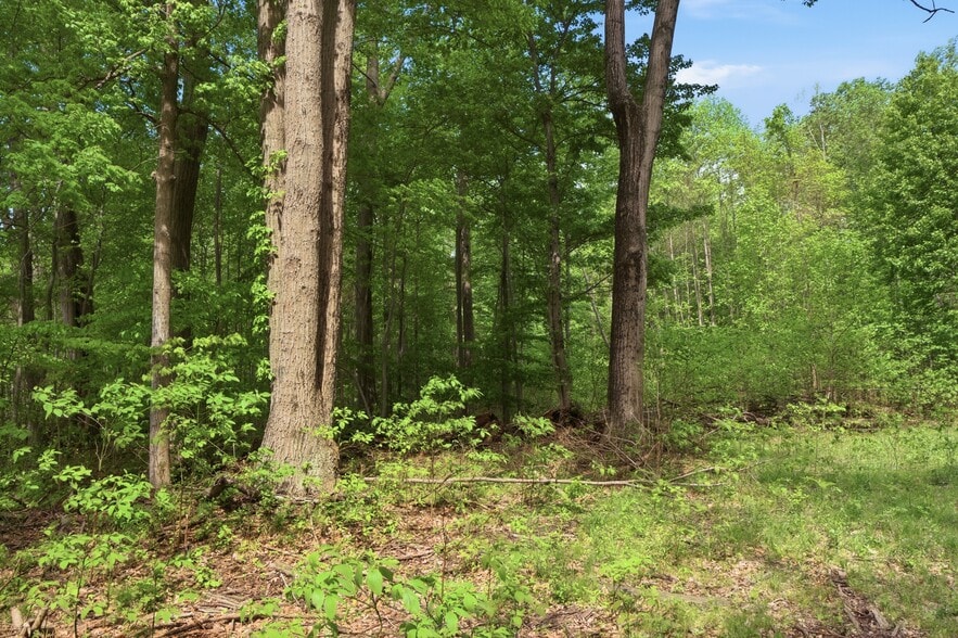 0 Red Arrow Highway, Lakeside, MI for sale - Building Photo - Image 3 of 4