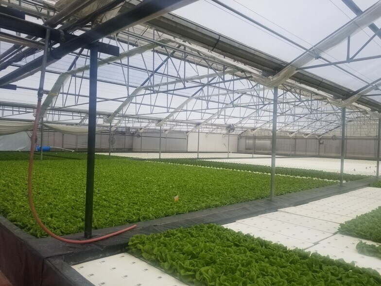 4525 Cloverdale Rd, Pescadero, CA à vendre - Photo du bâtiment - Image 2 de 11