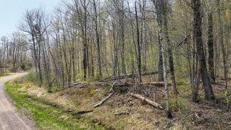 More details for N Gueldner Lane, Exeland, WI - Land for Sale