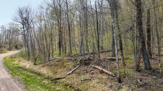 Plus de détails pour N Gueldner Lane, Exeland, WI - Terrain à vendre