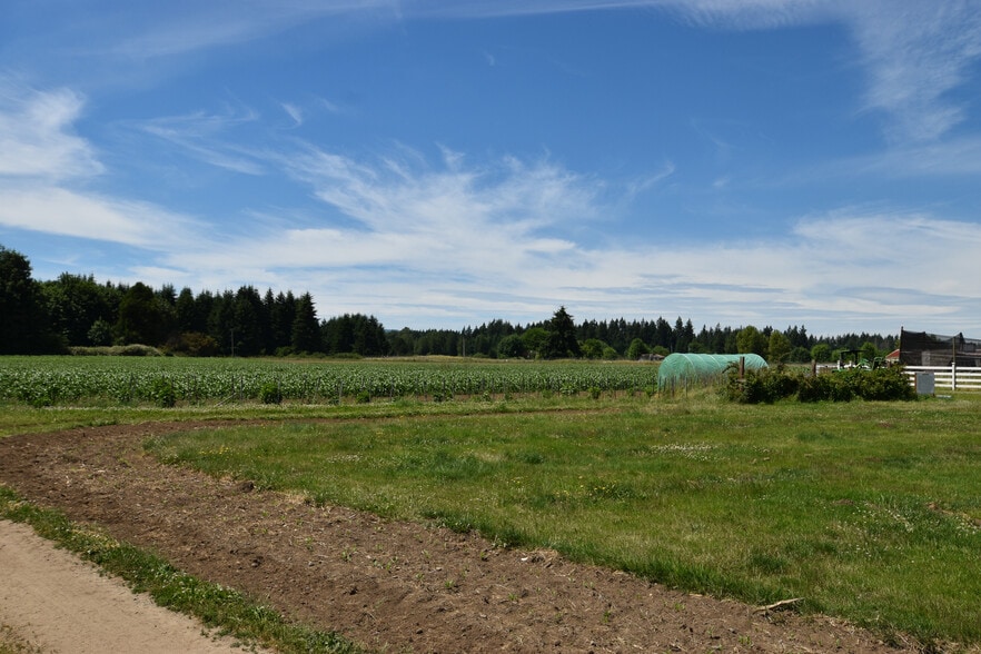 302 93rd Ave SE, Olympia, WA for sale - Other - Image 3 of 14